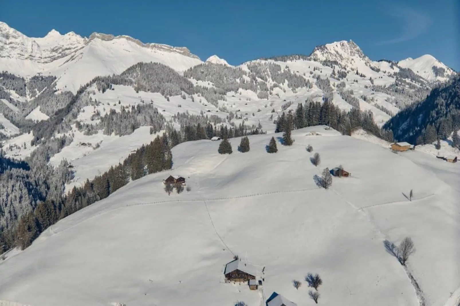 Super private Luxury Chalet with Hotel facilities-Gebiet Winter 20 km