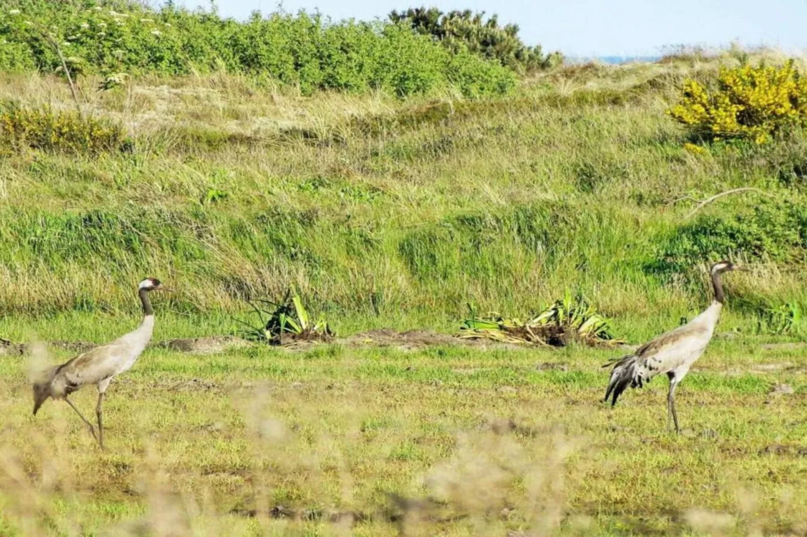 Luxus-Ruckzug in Skagen -- By Traum Ferienwohnungen-Nicht zugeordnet