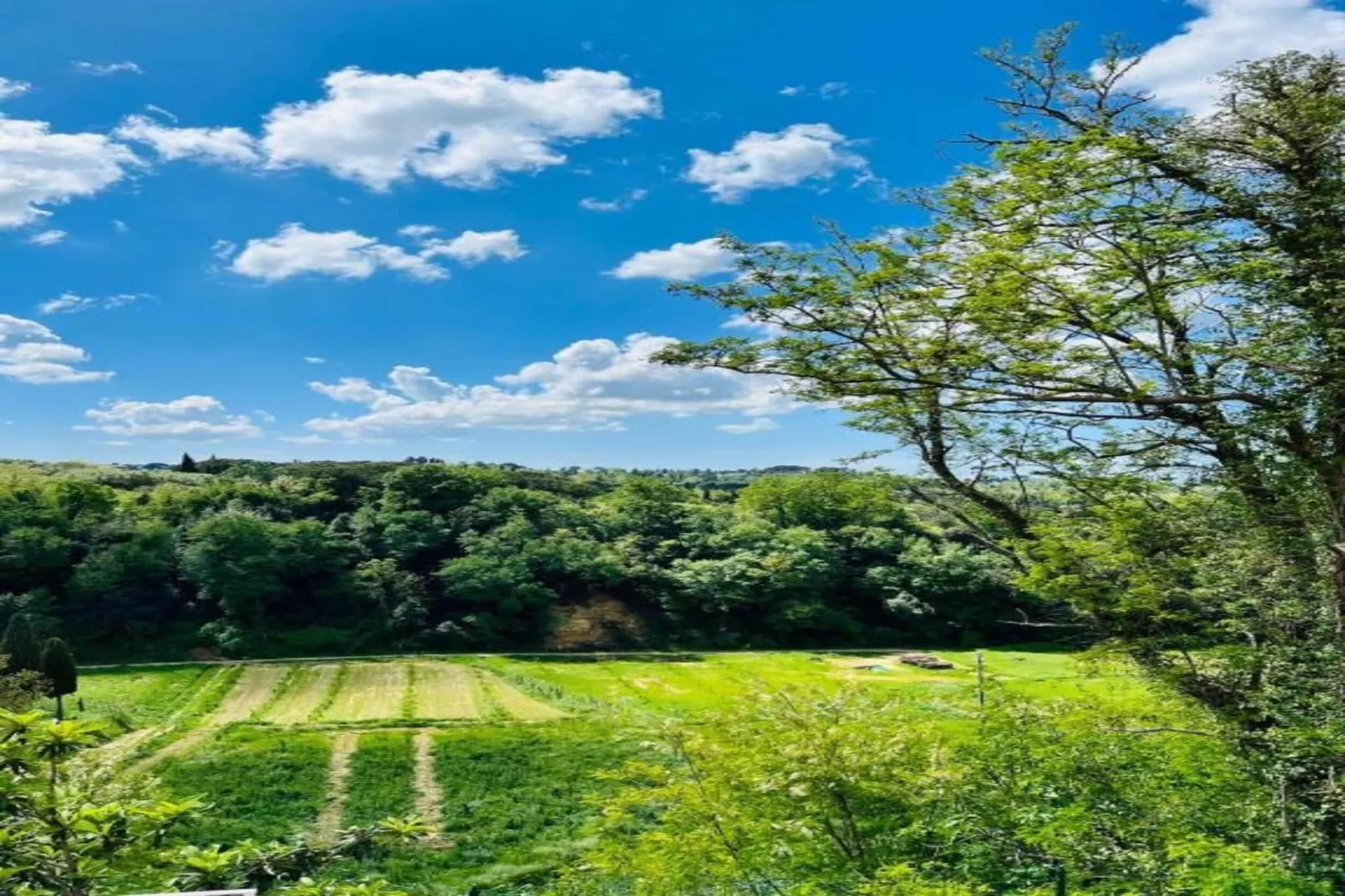 Giuditta Sei-Areas within 5km in summer