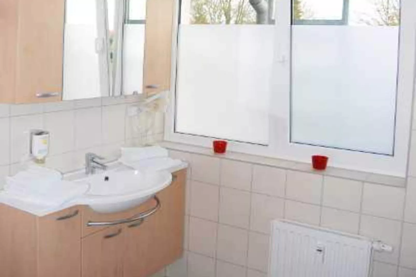Schneeeule 203-Bathroom