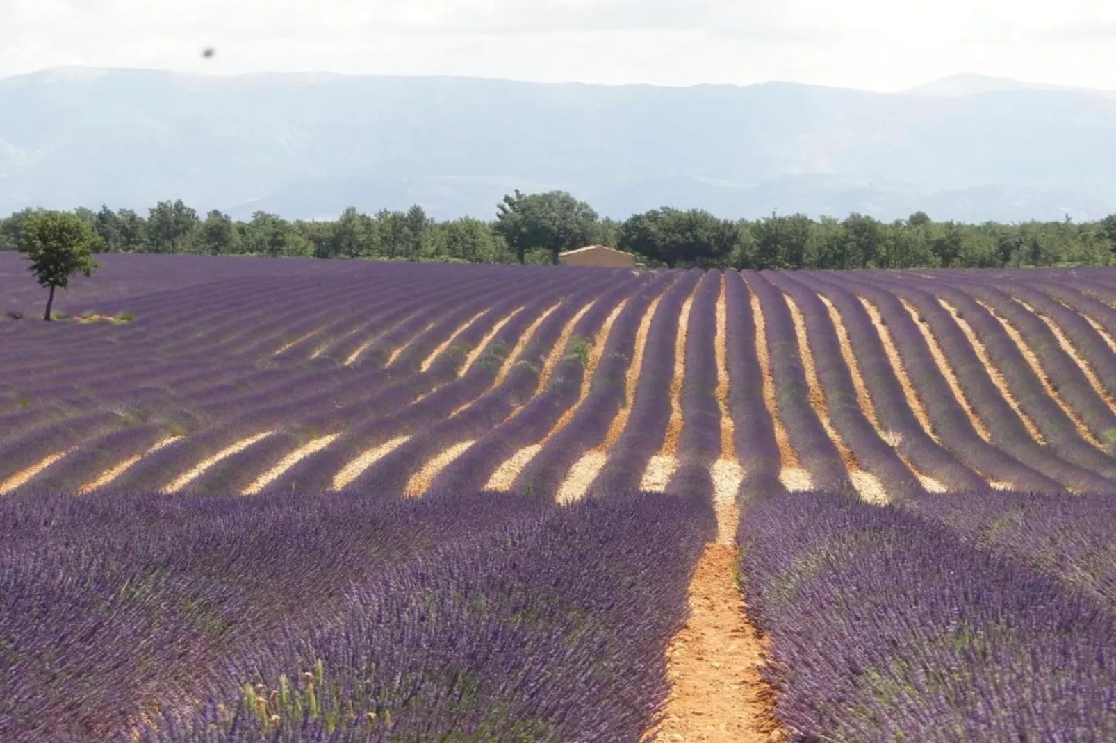 Le Pailliou-Areas within 20km in summer