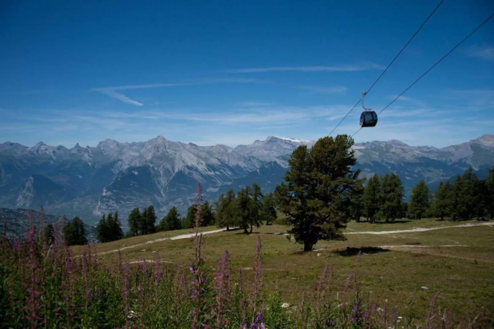 Mélèzes S 033 - SKI LIFT apartment 8 pers-Gebiete Sommer 5 km