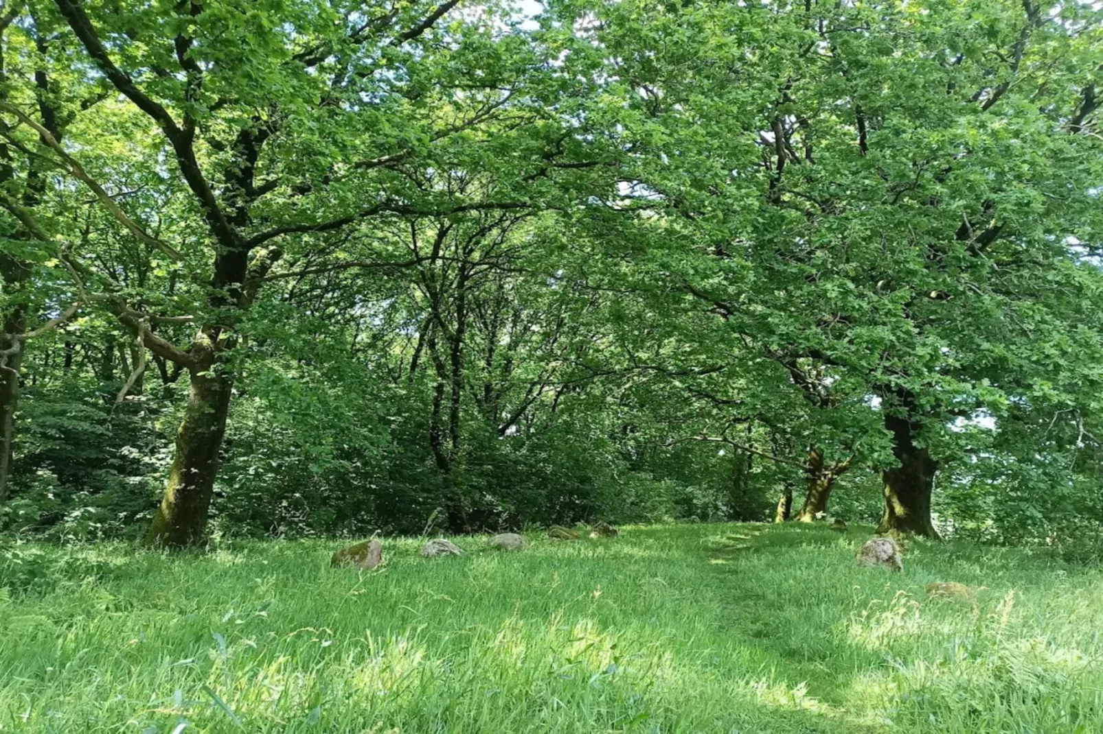 Charmantes Refugium in Sydjylland -- By Traum Ferienwohnungen-Nicht zugeordnet