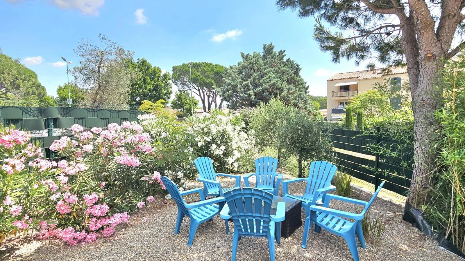 Bambou-Gardens in summer