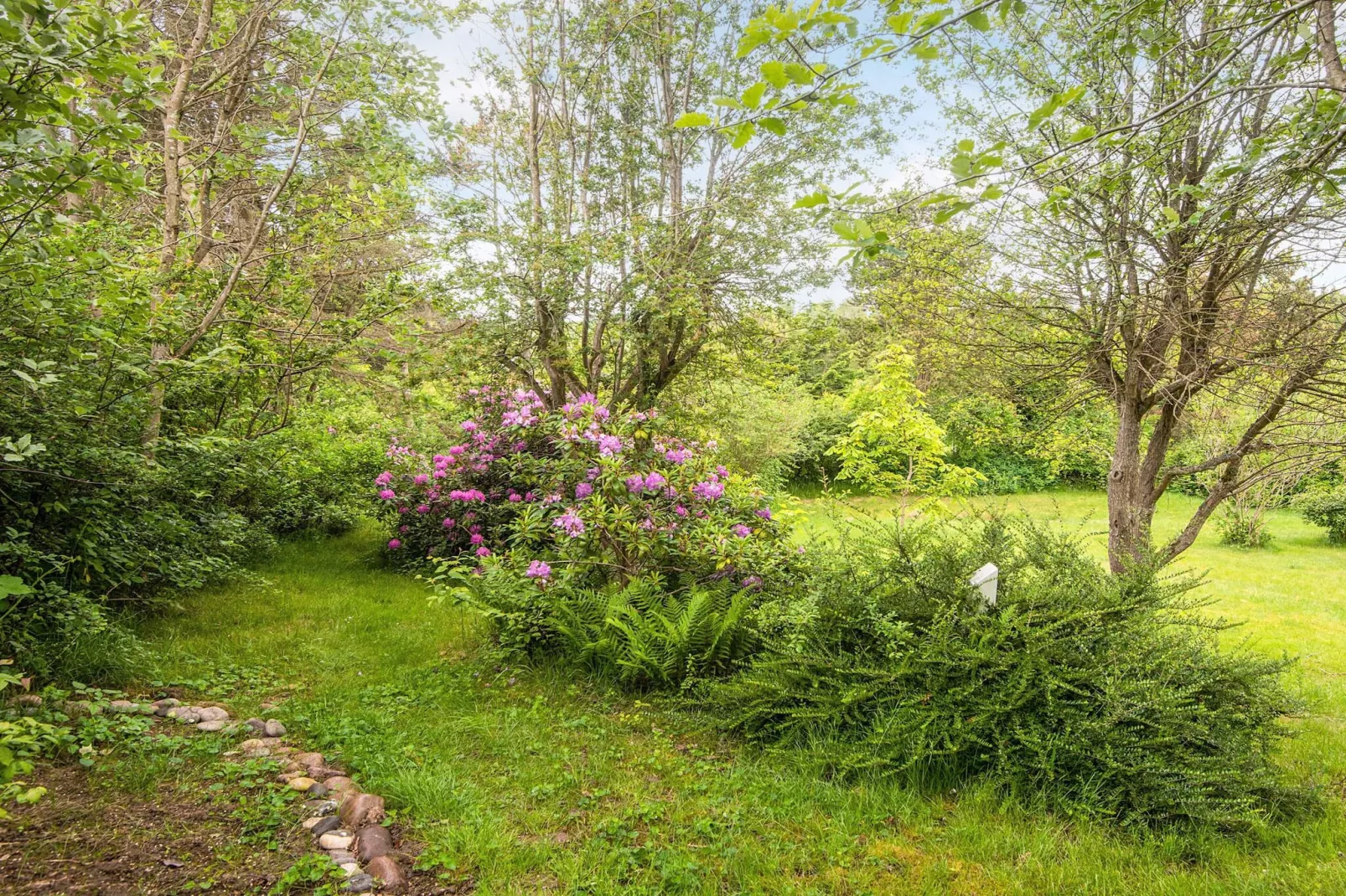 5 Personen Ferienhaus in Knebel-Aussicht