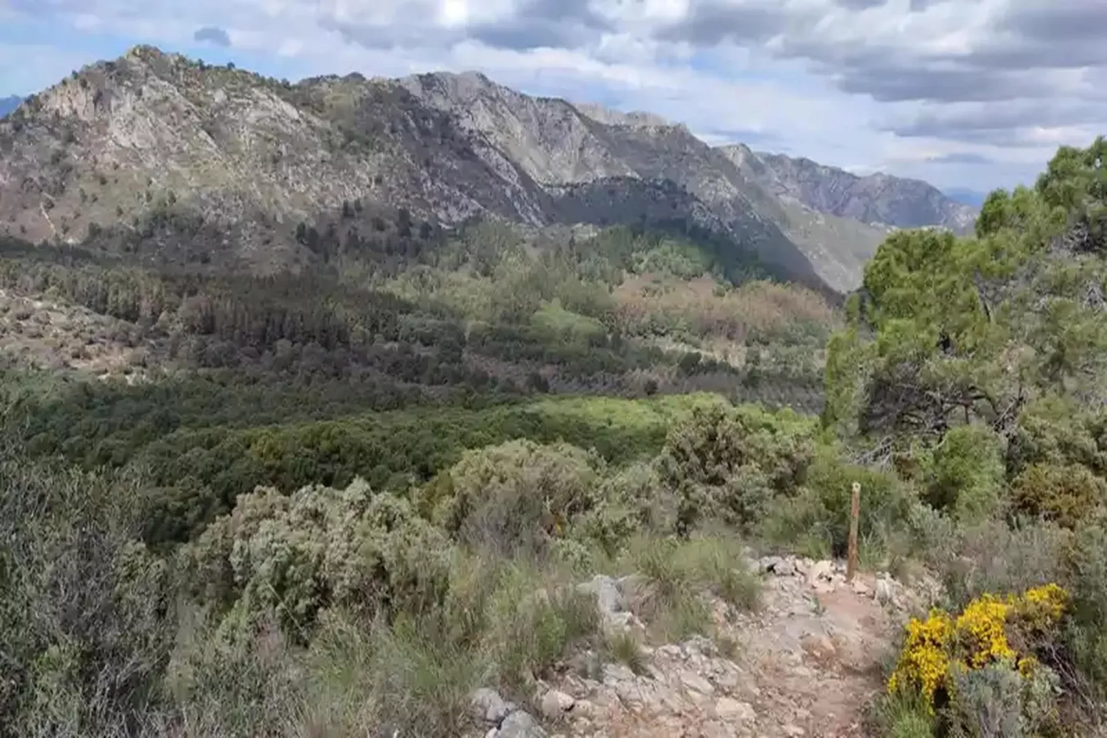 La Floresta Sur 8-1-Gebiete Sommer 20 km