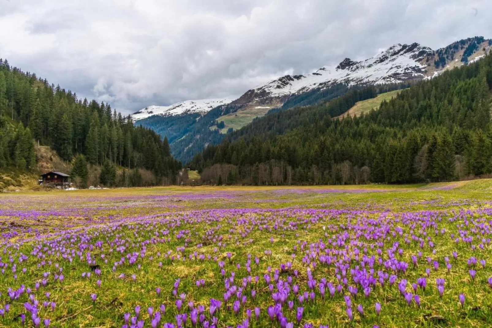 Alpenchalet Biberwier 1-Areas within 20km in summer