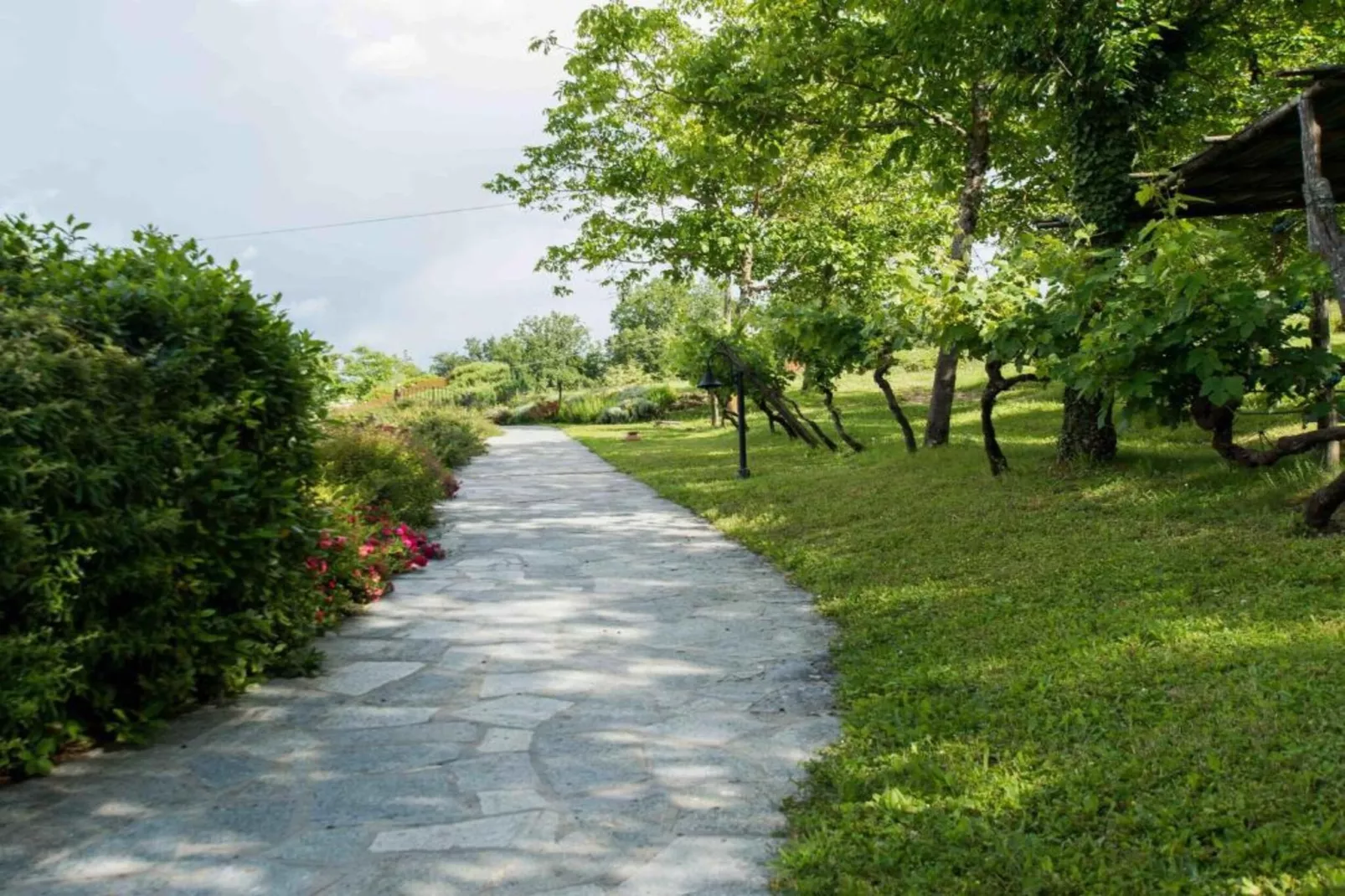 L'Acero-Areas within 20km in summer