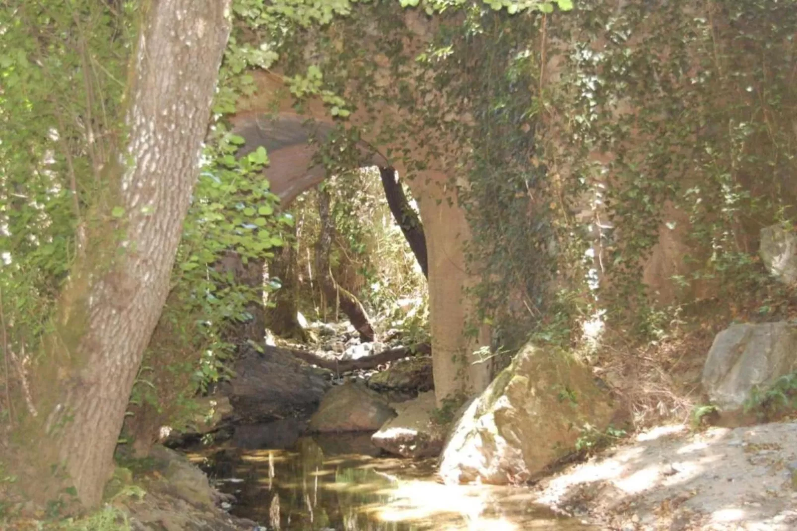 The Rabbit-Areas within 20km in summer