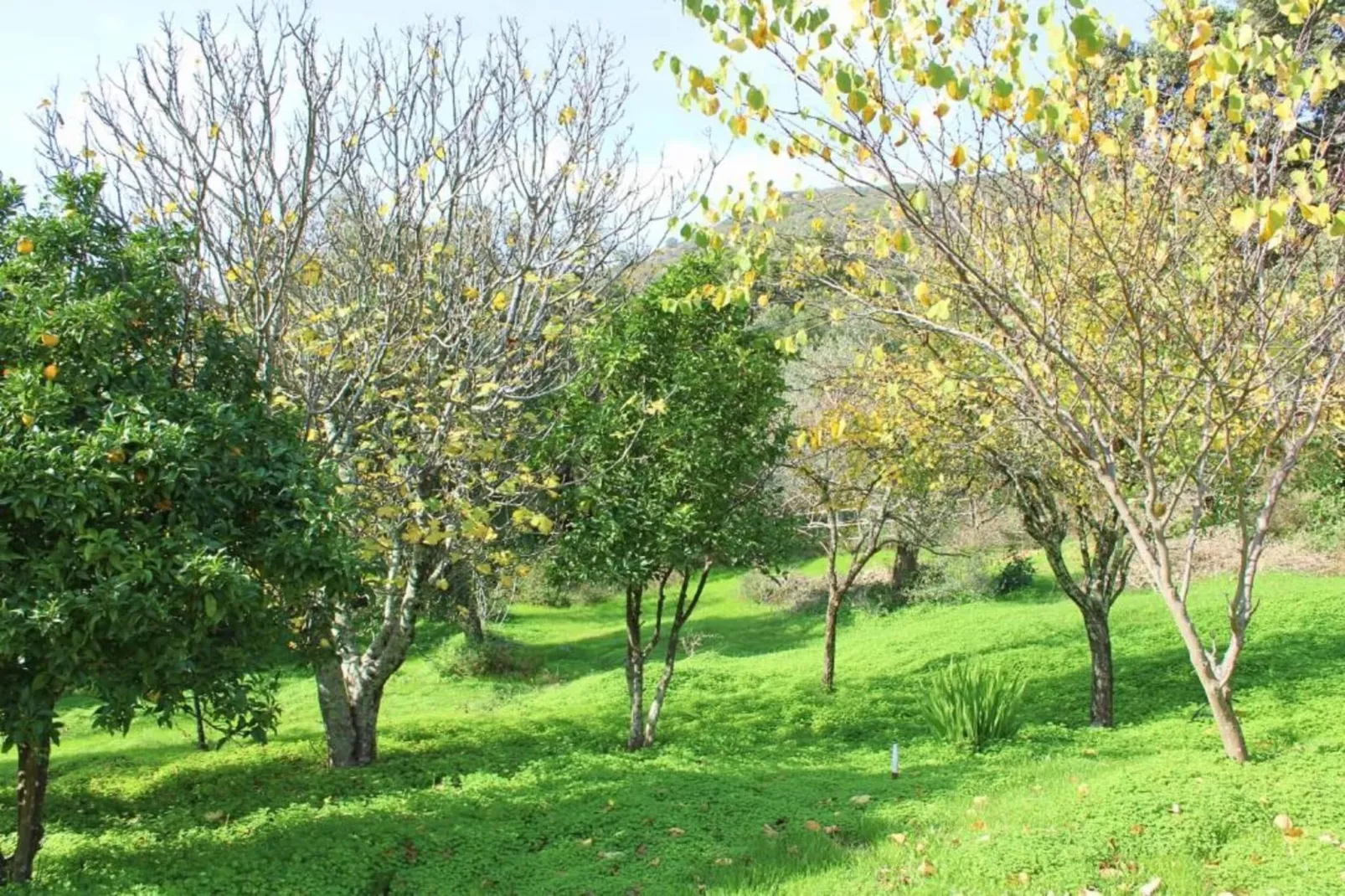 Zoya-Zones été à 5 km