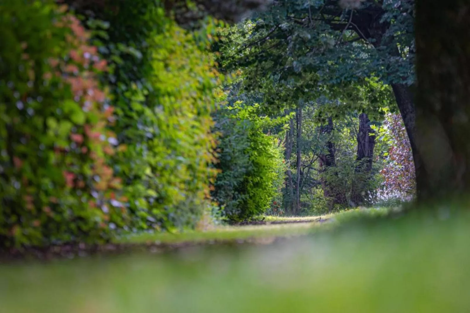Les Arcades N°30 - ST4-Gebiete Sommer 20 km