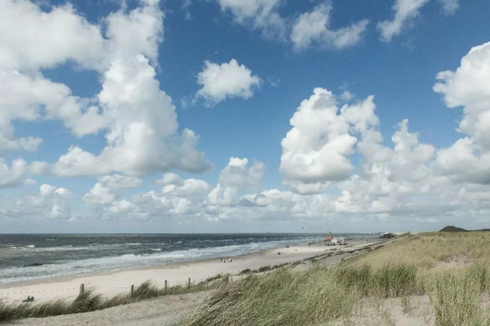 De Schelp 21-Gebiete Sommer 5 km