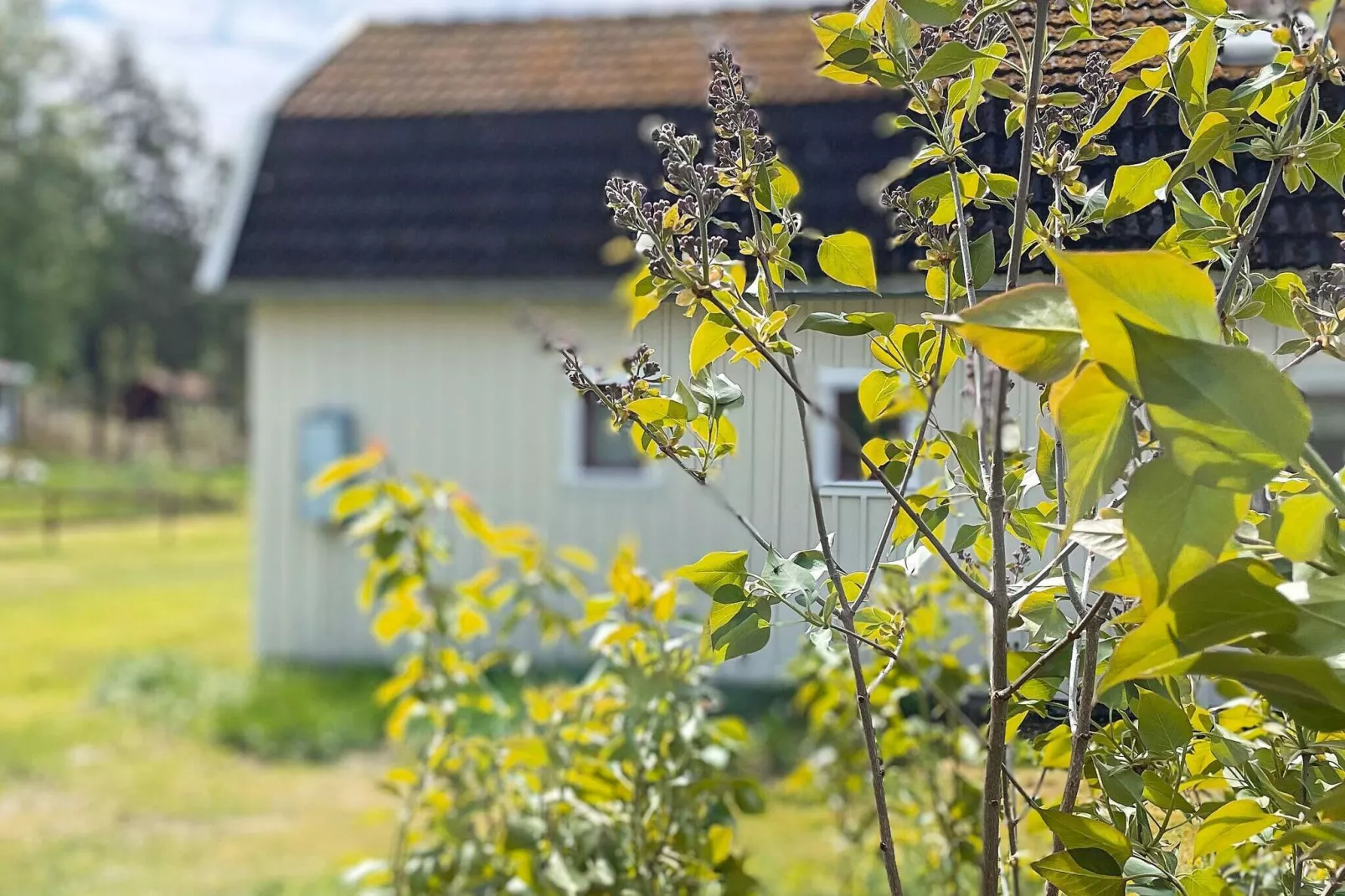 5 person holiday home in LIDKÖPING-By Traum-Outdoor