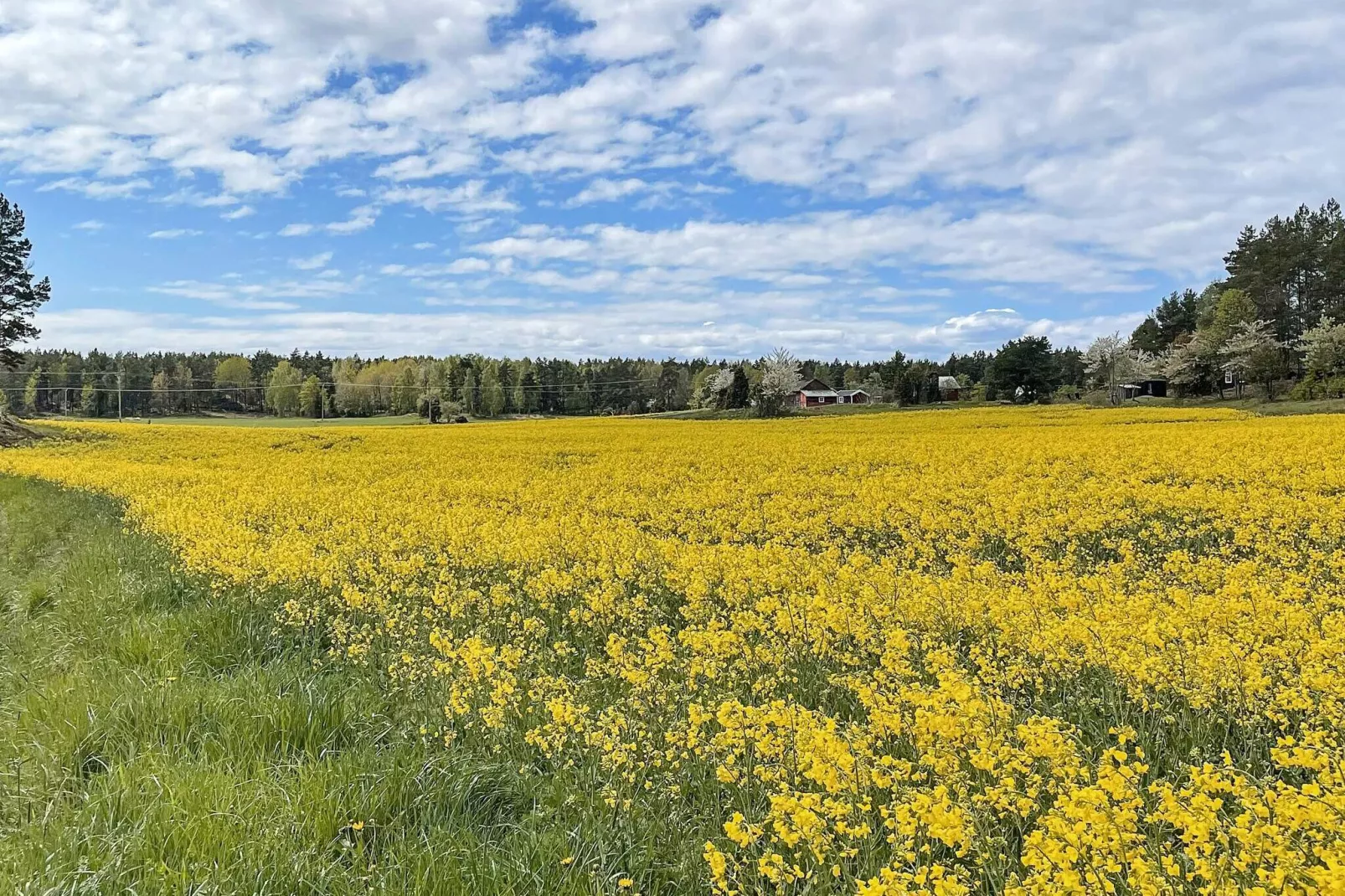 5 person holiday home in LIDKÖPING-By Traum-Not tagged