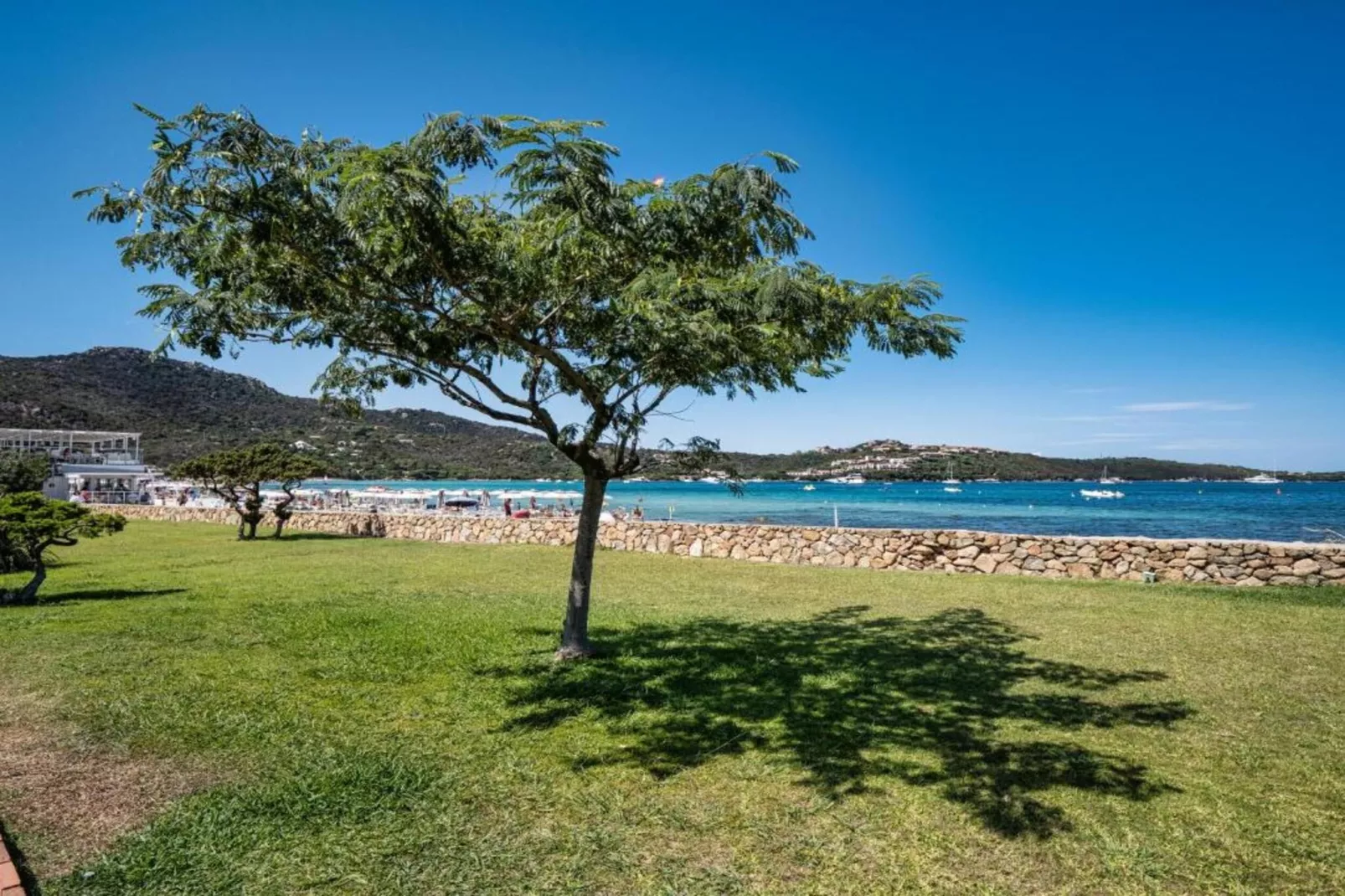 Mono 2 Pax-Areas within 1km in summer