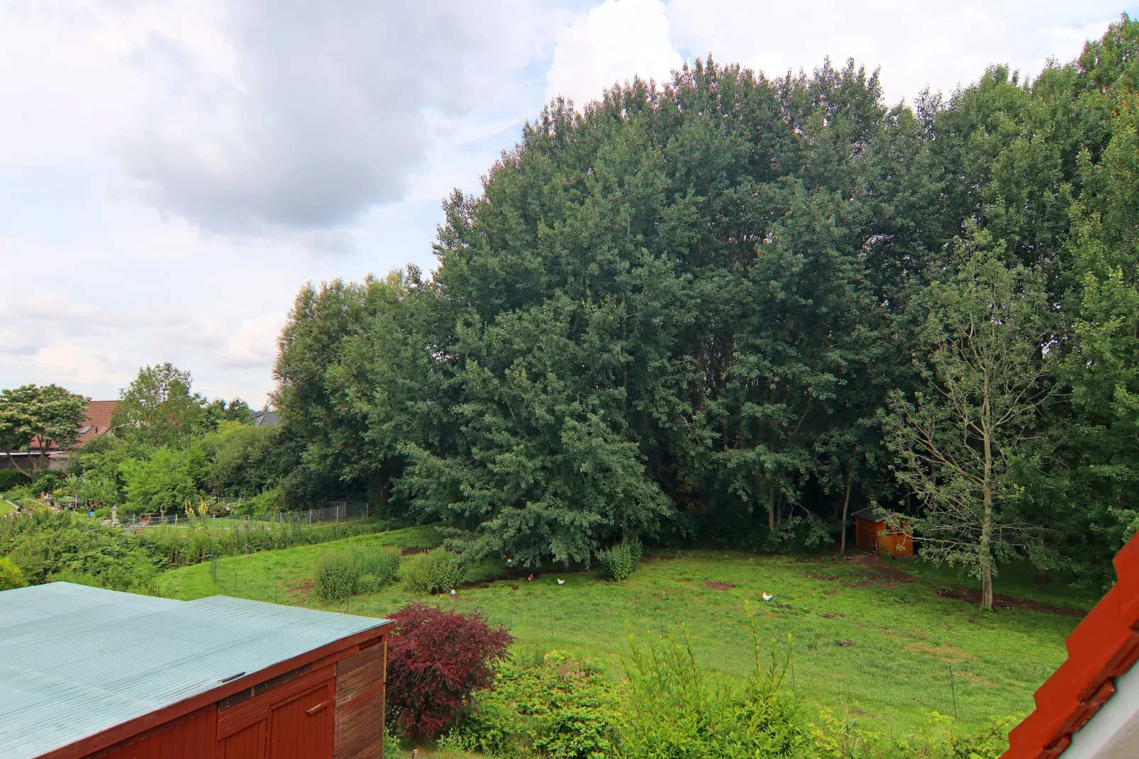 Ferienwohnung Kranichring-Aussicht Sommer