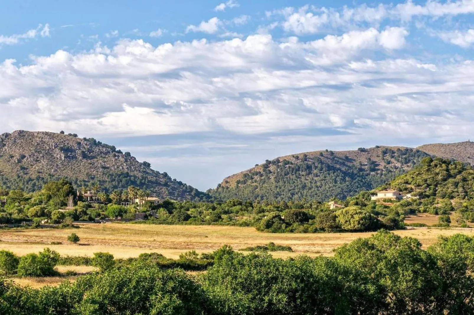Can Petit-Areas within 20km in summer