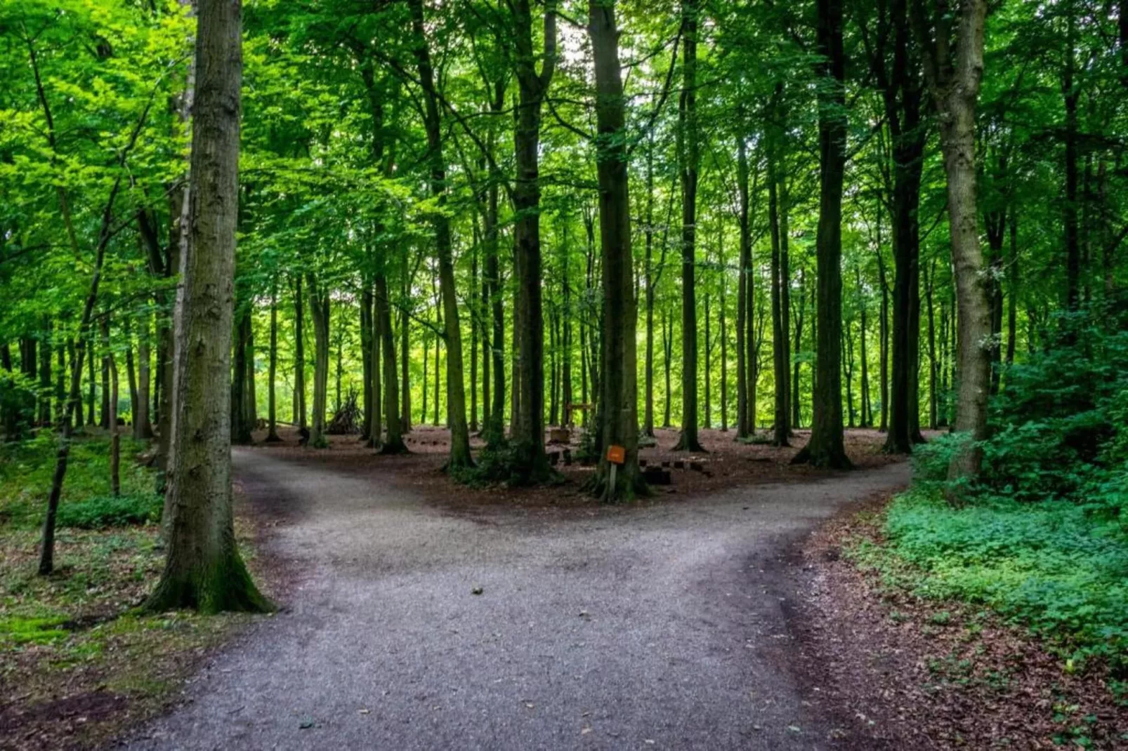 Maurits 2-Areas within 20km in summer