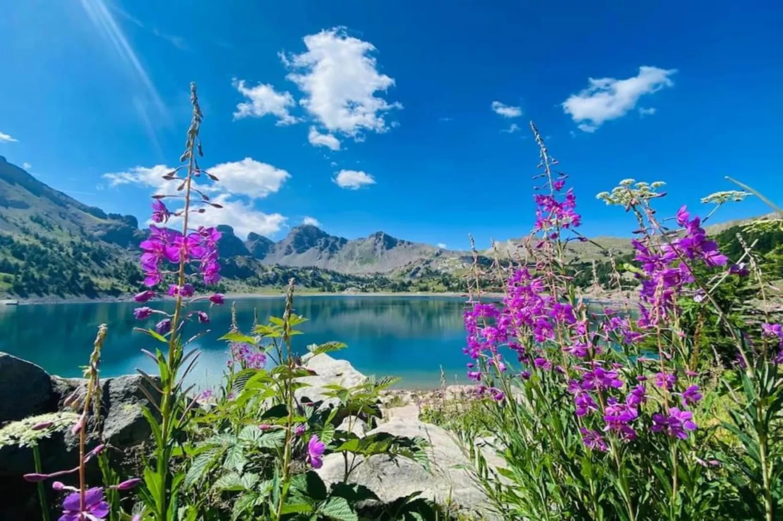 Les Marmottes N°14 - ST4-Areas within 5km in summer