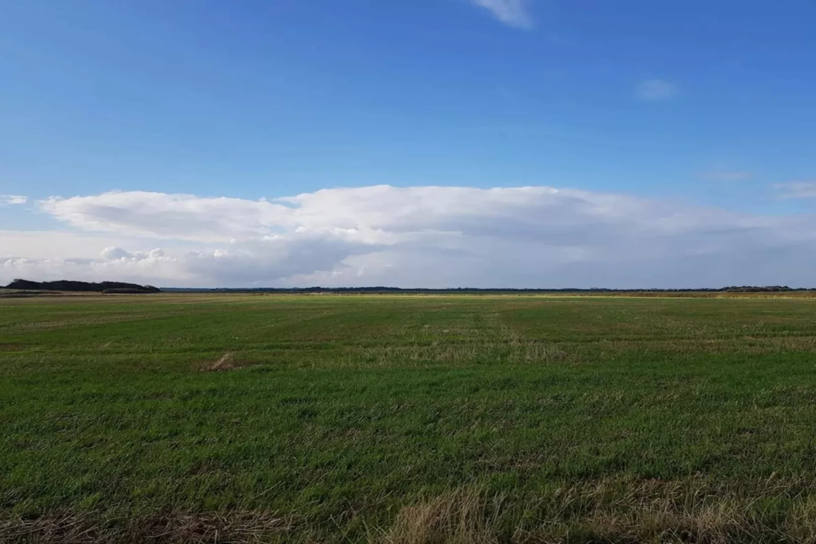 Maison de vacances pour 2 a Ringkøbing-Non tagué