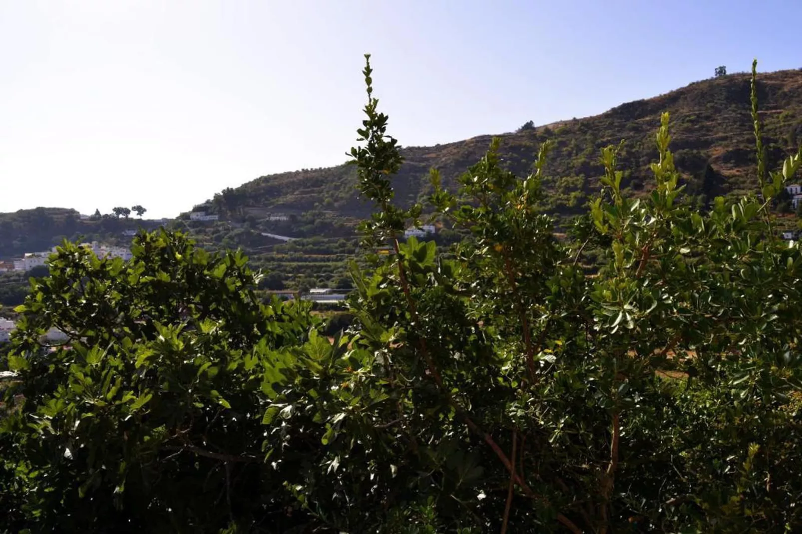 GC0149 Finca Cloty-Areas summer 20km