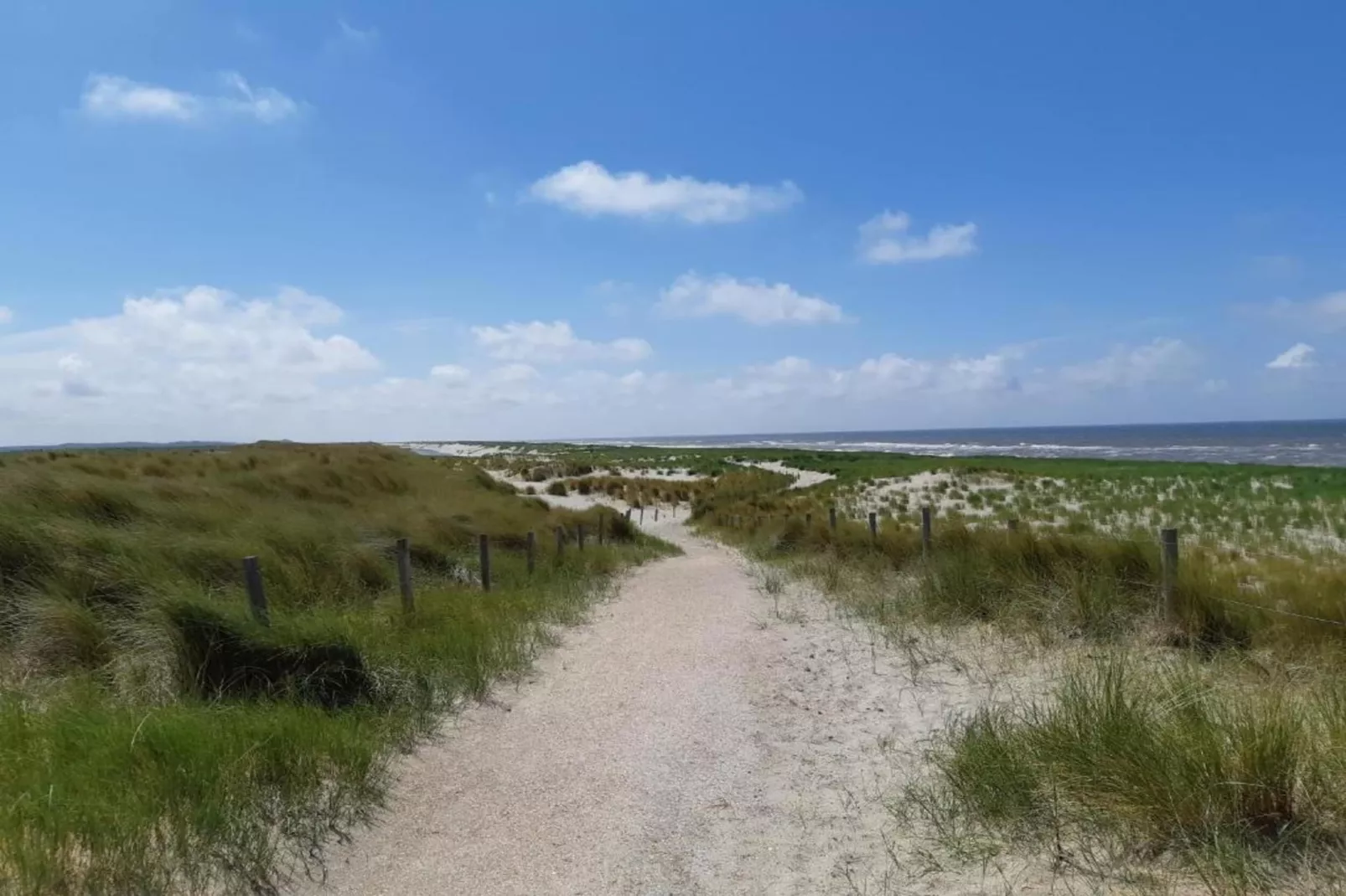 Beach 15-6-Areas within 5km in summer