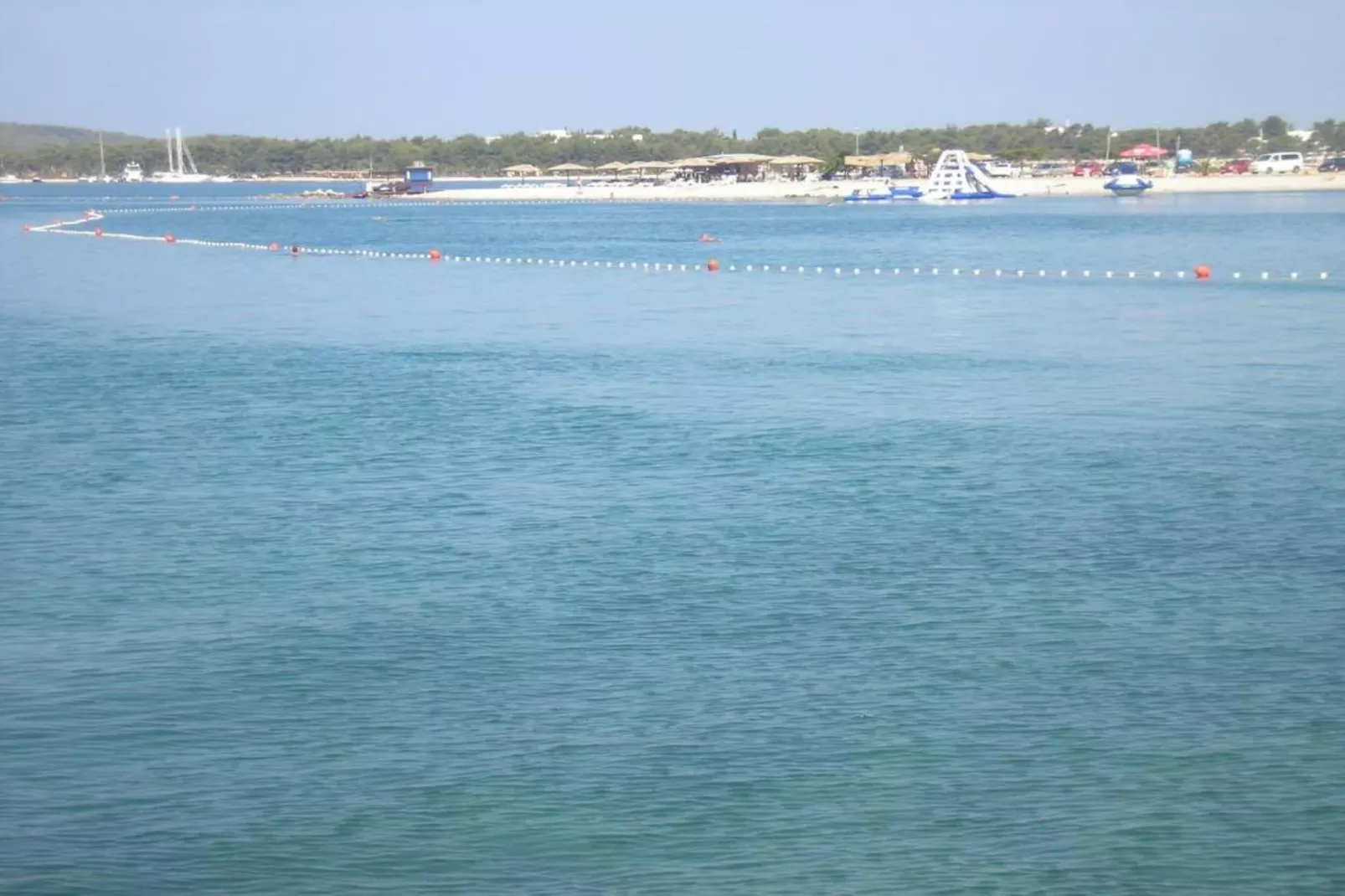 Apartments Gaj Brodarica - A7-Areas within 1km in summer