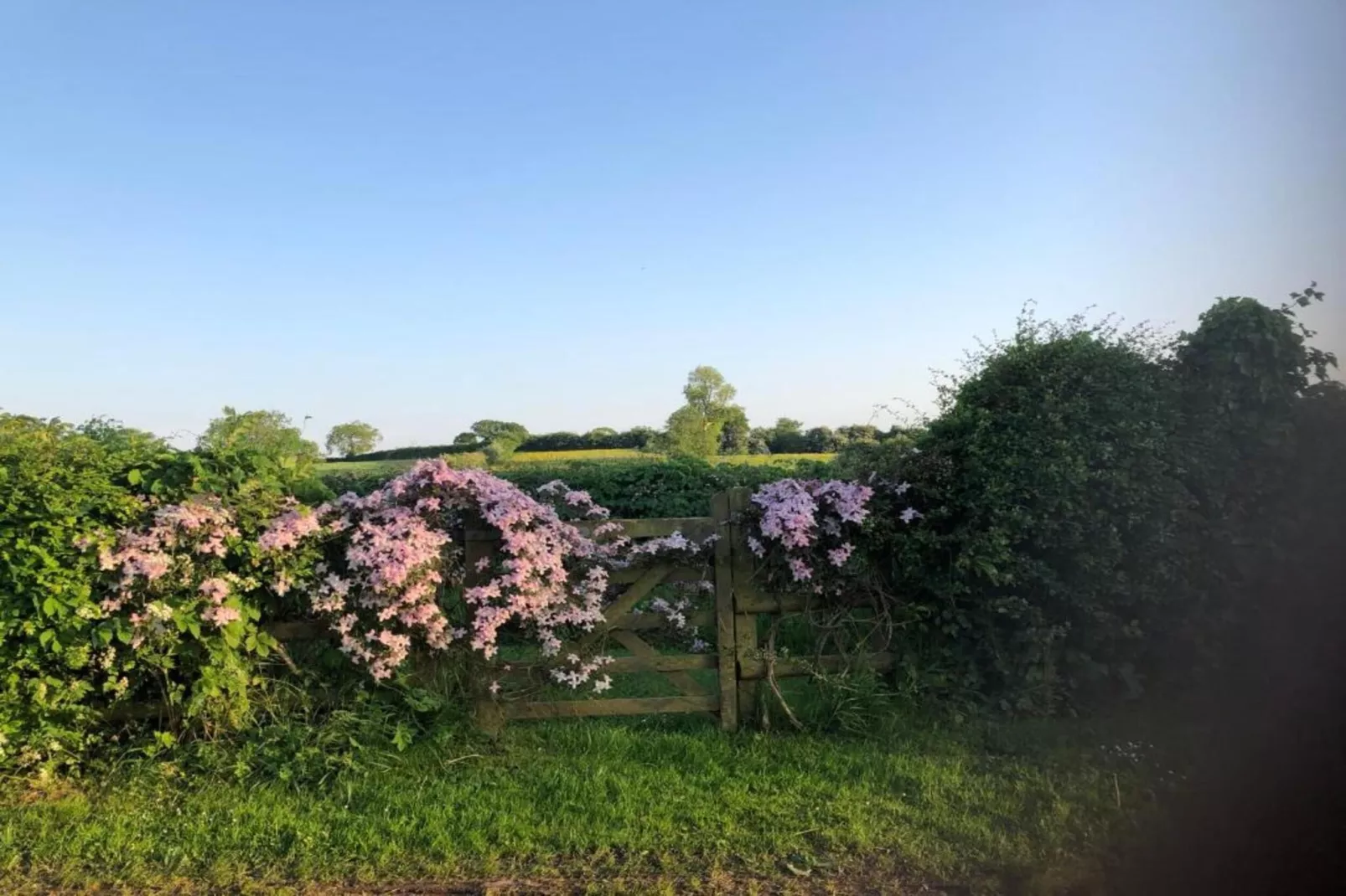 The Pig Barn-Gebiete Sommer 5 km