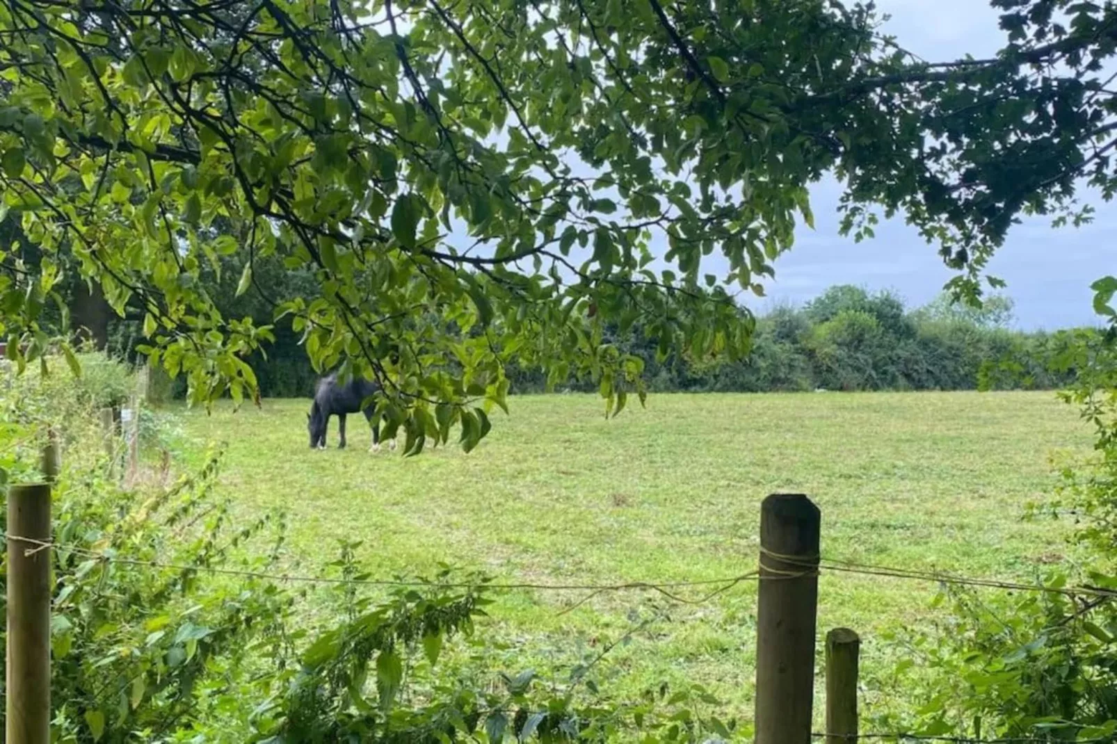 The Herdwick Safari Tent-Gebiete Sommer 20 km