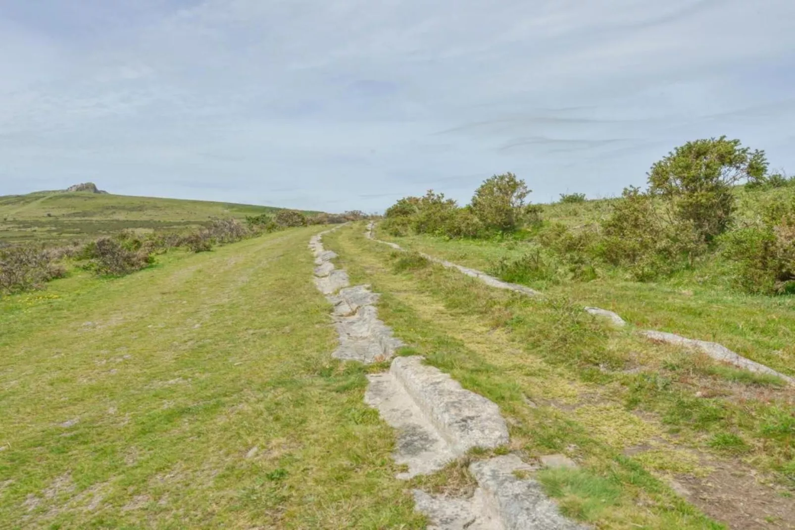 Little Dunley - The Tiny House-Areas within 5km in summer