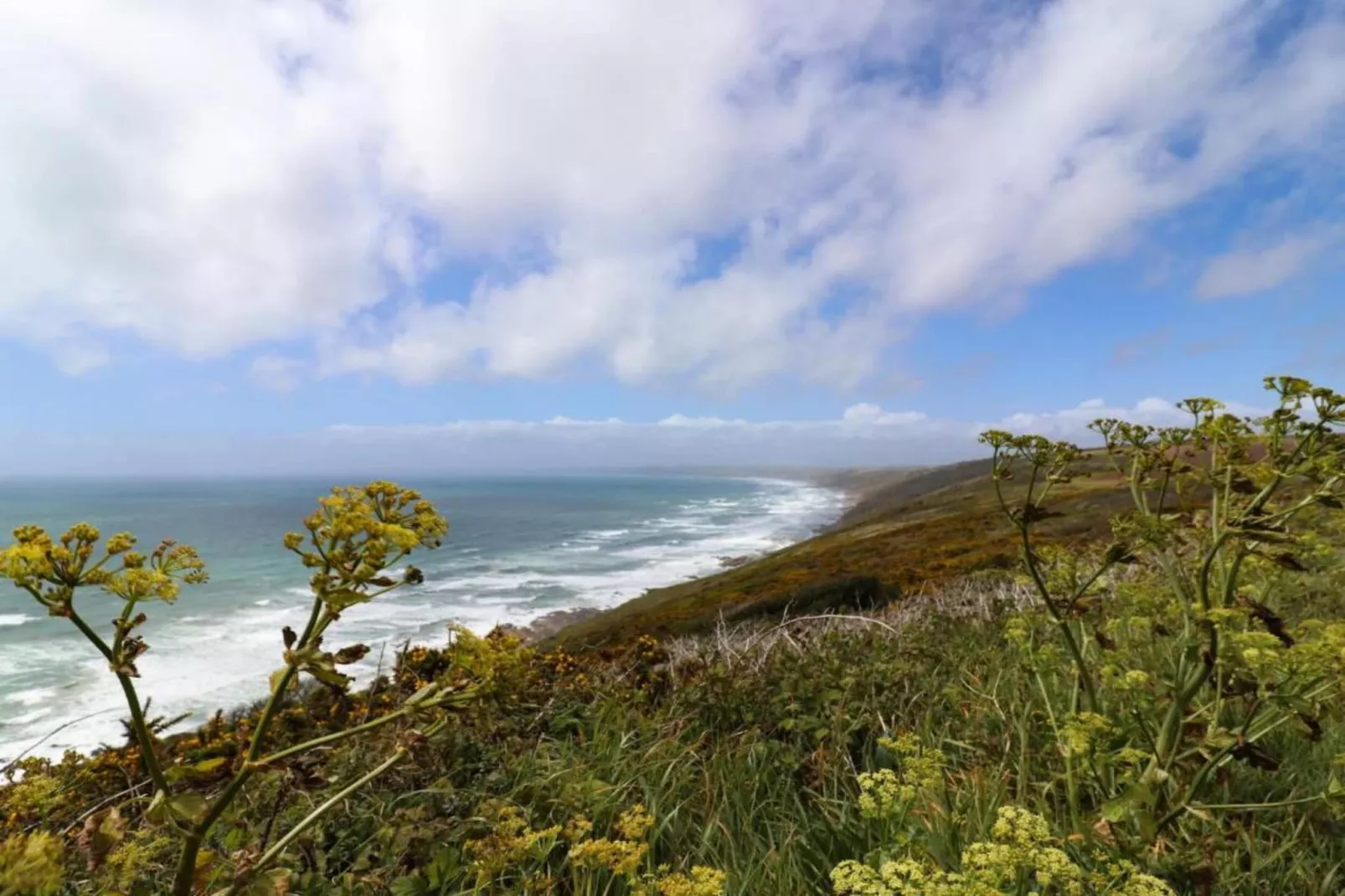 Nor Nour, Cawsand-Areas within 1km in summer