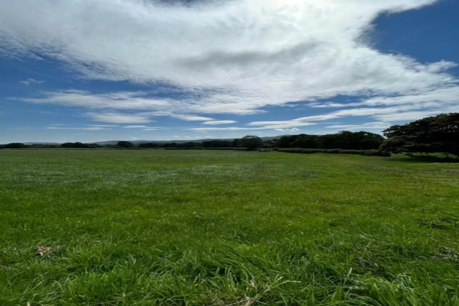 Netley Hall - Lavender-Areas within 5km in summer