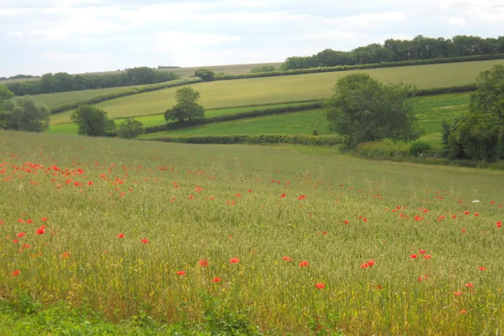 Little Rissington - Barn Four-Gebiete Sommer 20 km
