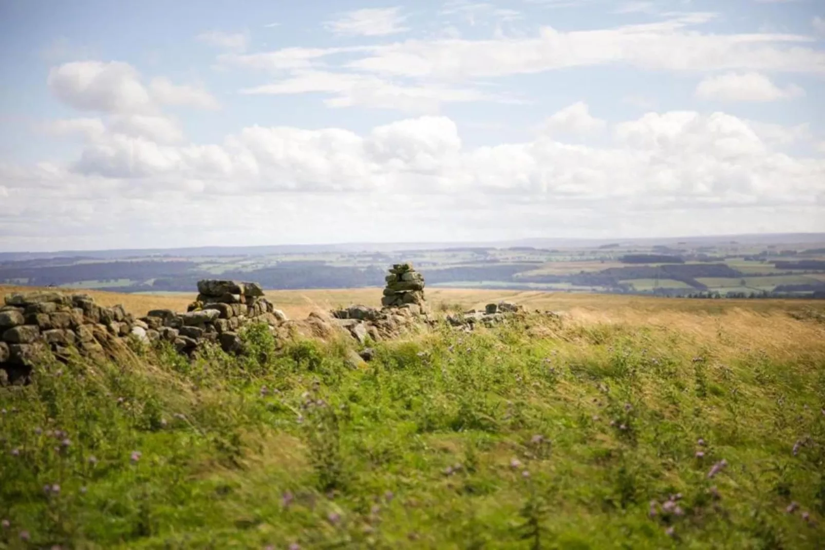 Blackcleugh Glamping-Zones été à 5 km