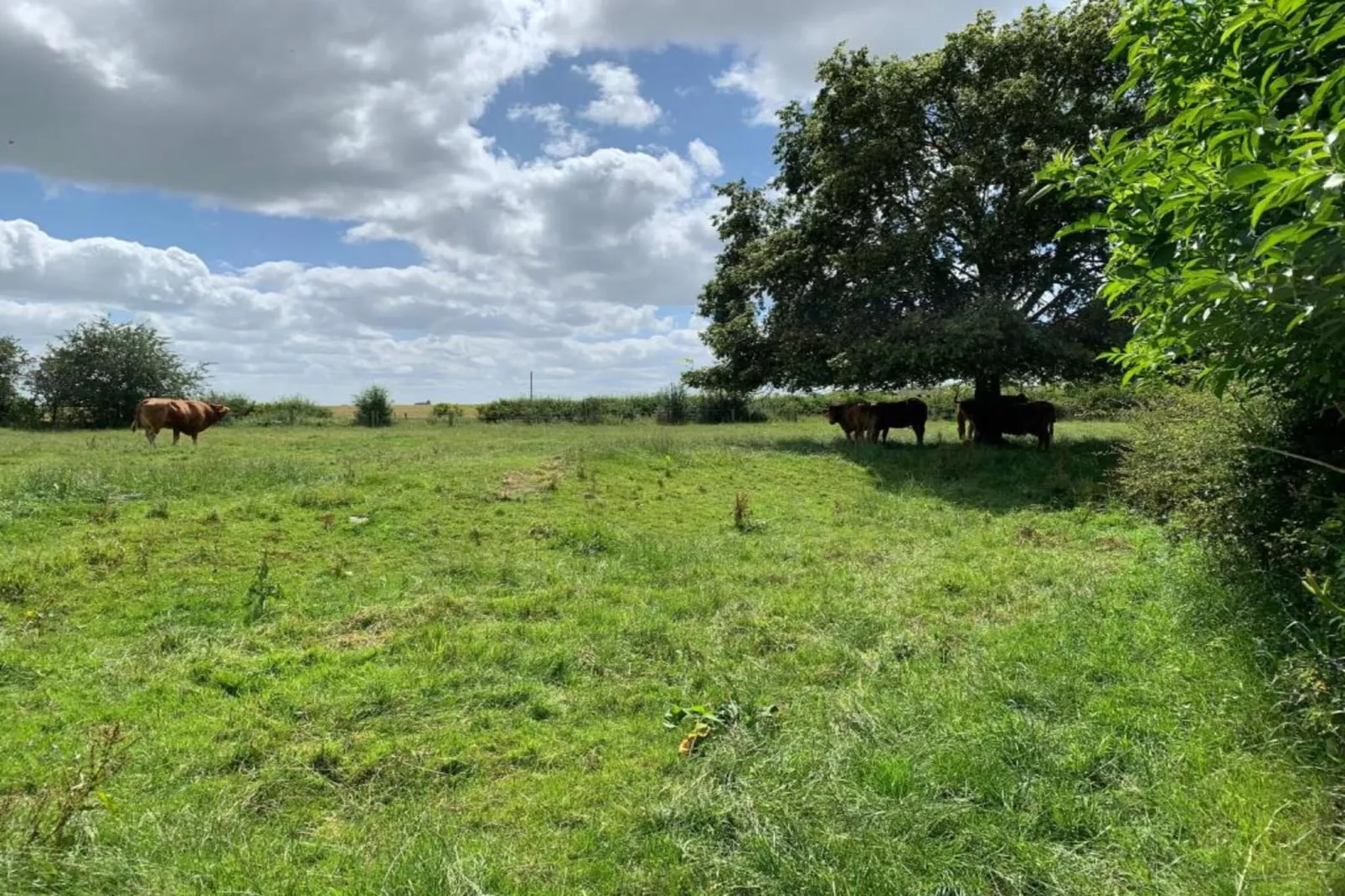 Hundle Dale-Gebiete Sommer 5 km