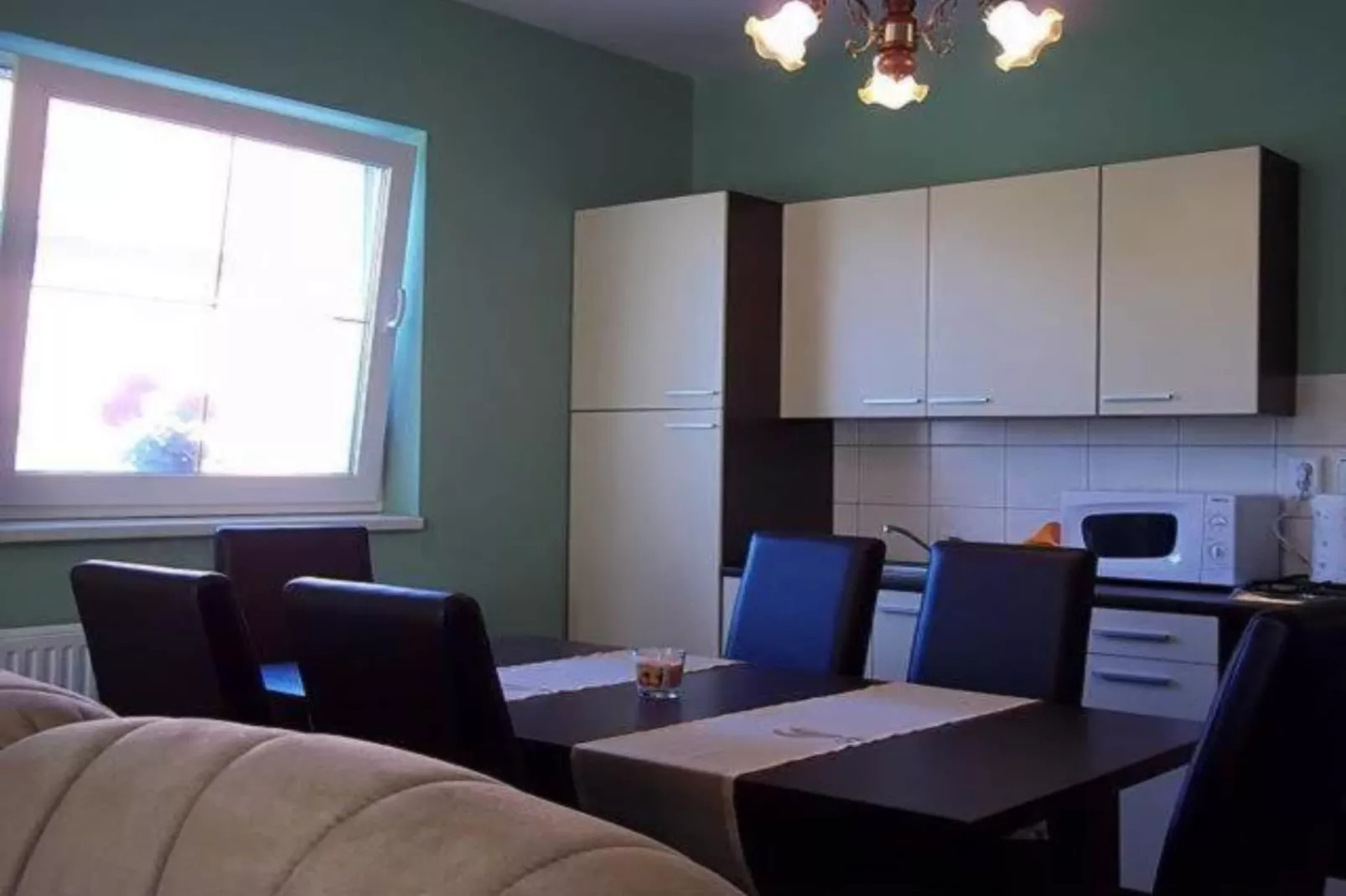 Apartment Čeliković - One Bedroom Apartment with Balcony-Cuisine