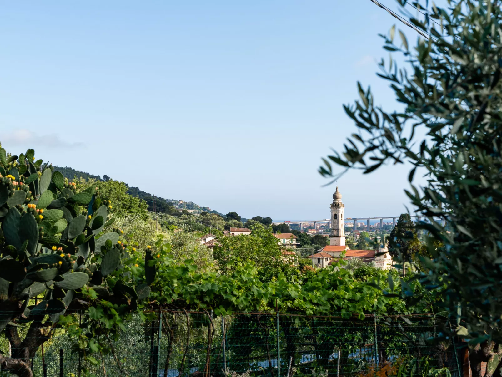 La Bouganville - Rustico con giardino-Outside