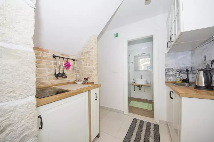 Apartments Stone Elegance (ST) - Studio Apartment (Rudula)-Cuisine