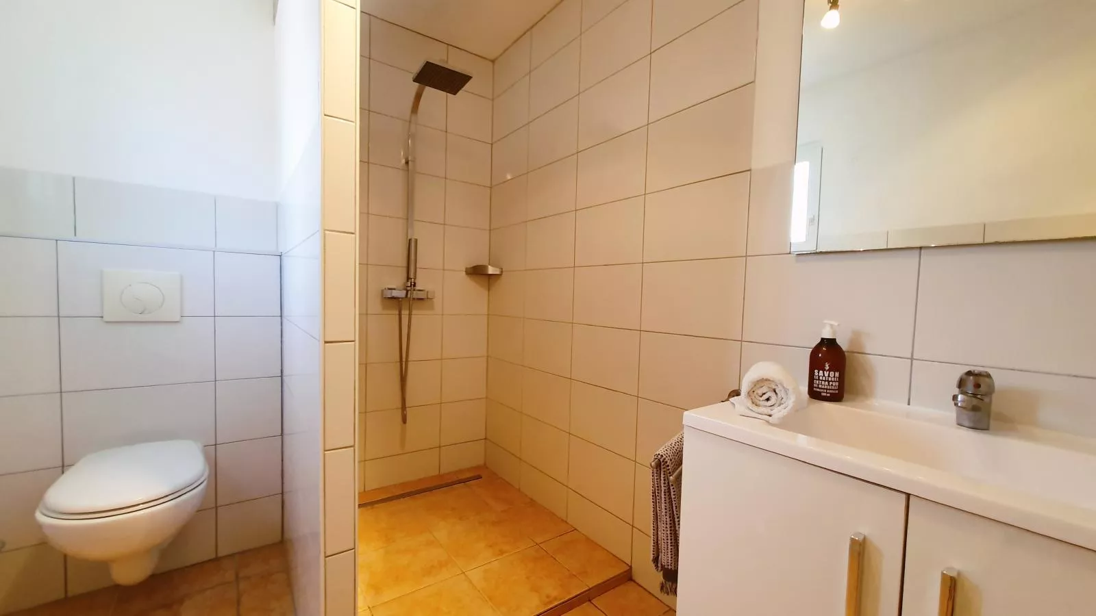 Roco Aigle-Bathroom