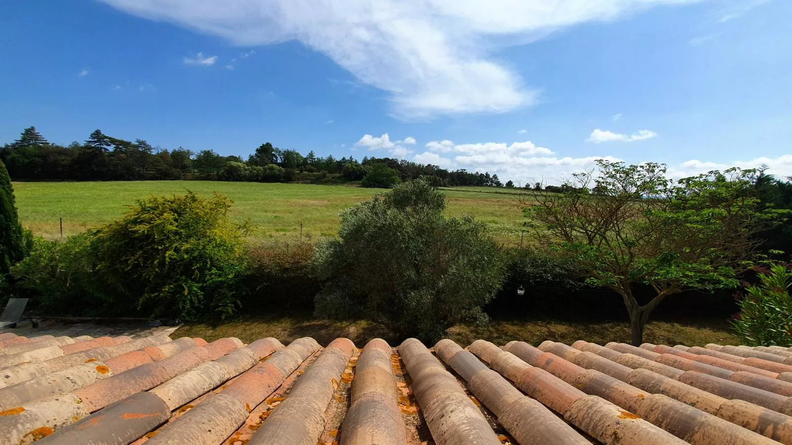 Roco Aigle-View summer