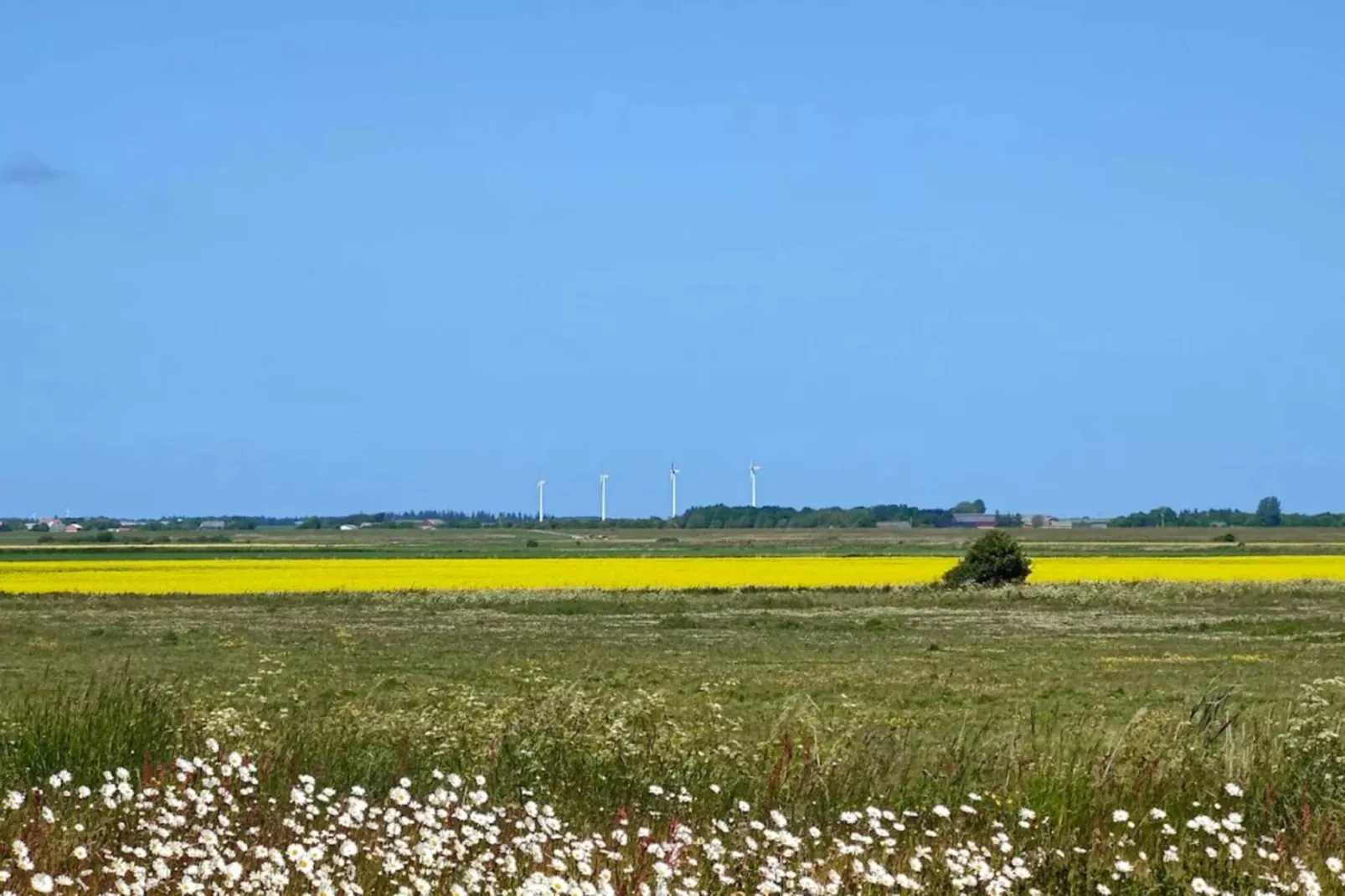 6 Personen Ferienhaus in Højer