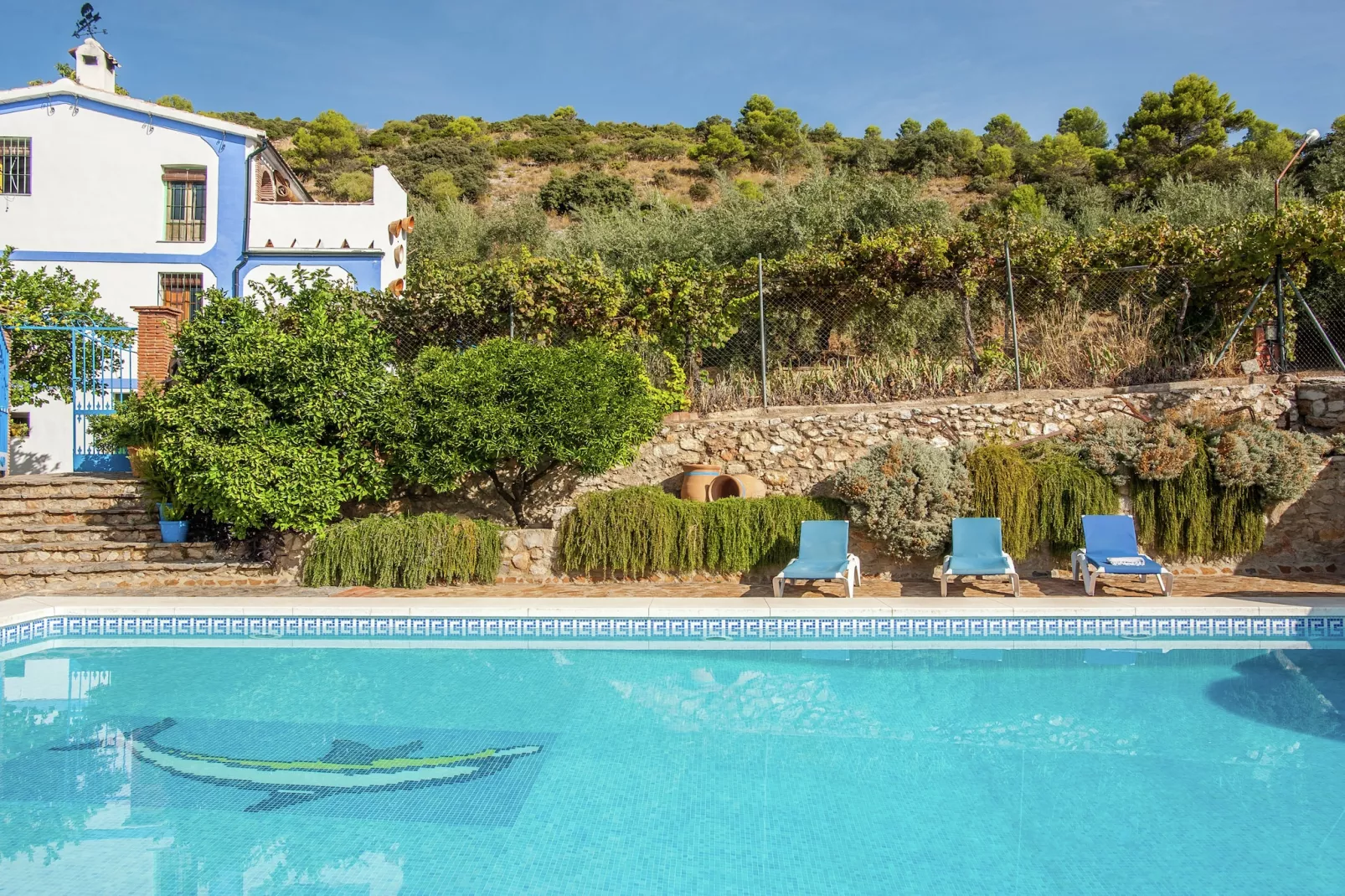 El Granero-Swimming pool