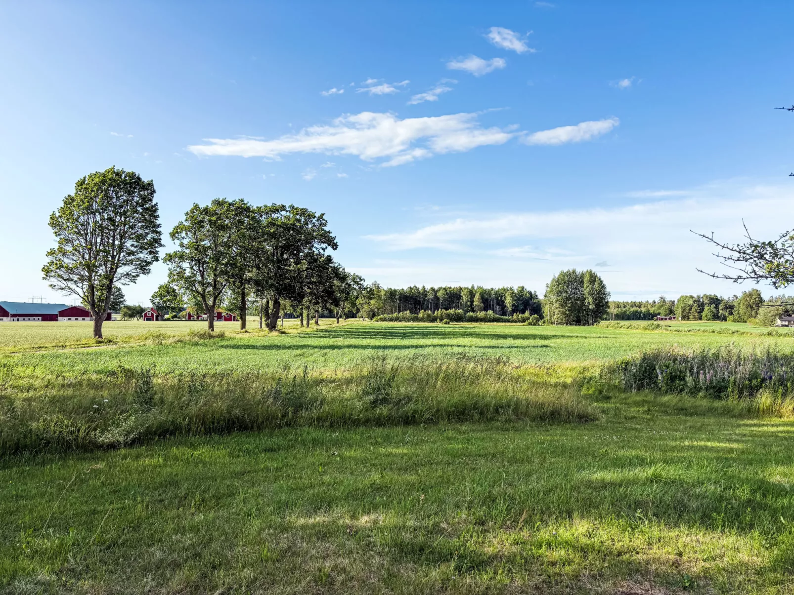 Skyberga Torp-Outside