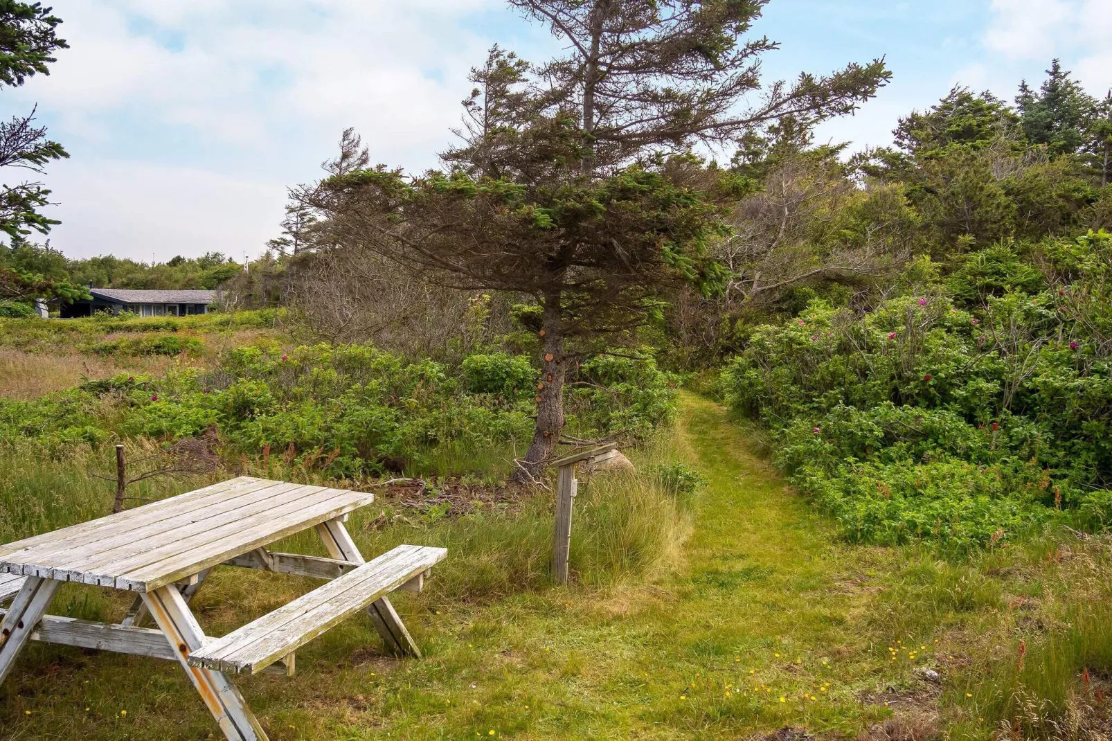 7 person holiday home in Hurup Thy-By Traum-View