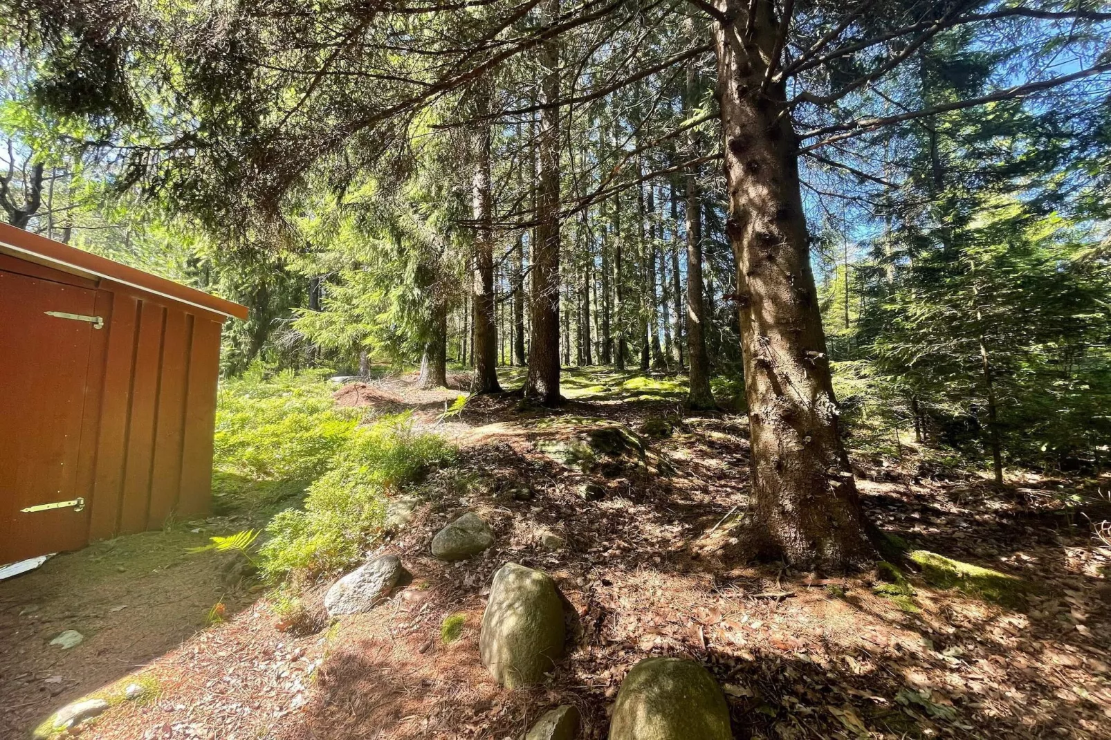 Cabane paisible près du sentier Furufjall-Extérieur