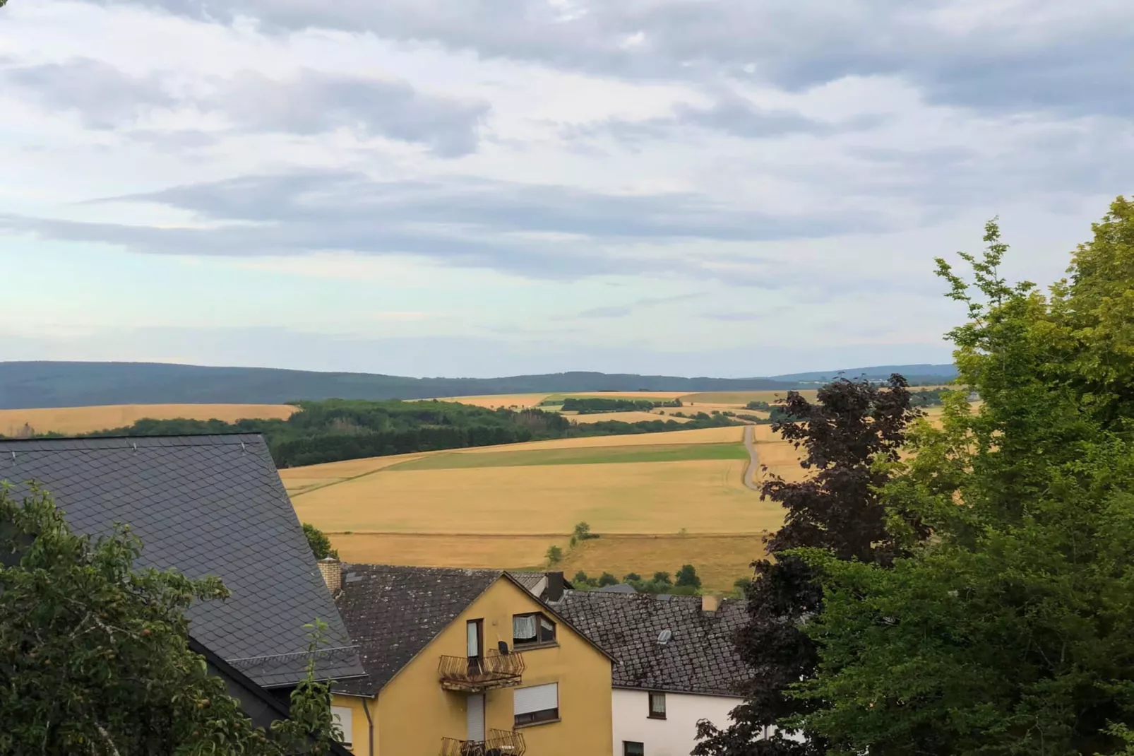 PH1 Ferienwohnung Standard Pellinger-Hof-View in summer