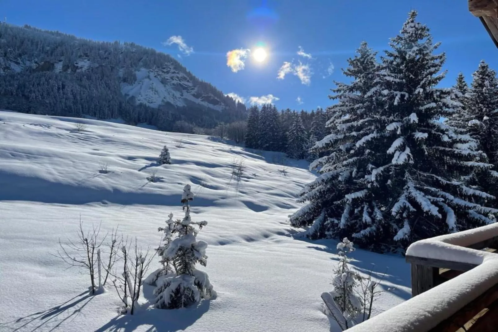 Les Portes de Megève 12-Aussicht Winter