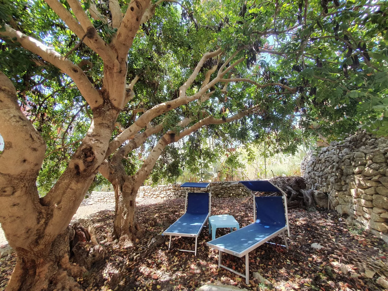 Casa Paolina-Outside