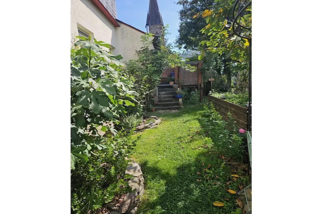539745-Non tagué