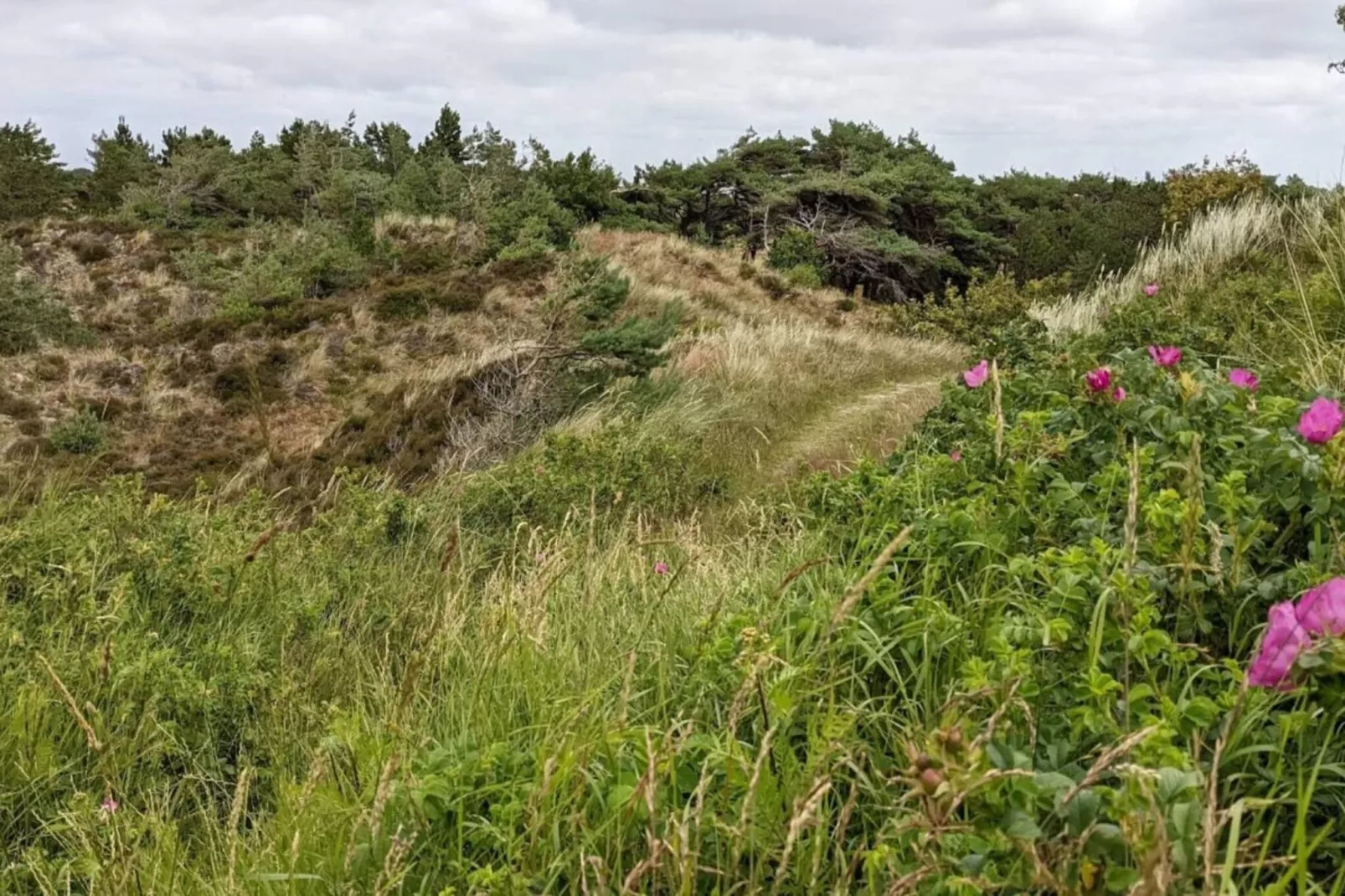6 person holiday home in Rømø-By Traum-Untagged